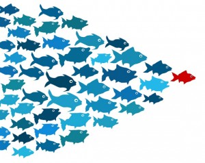 bigstock-Fishes-in-group-leadership-con